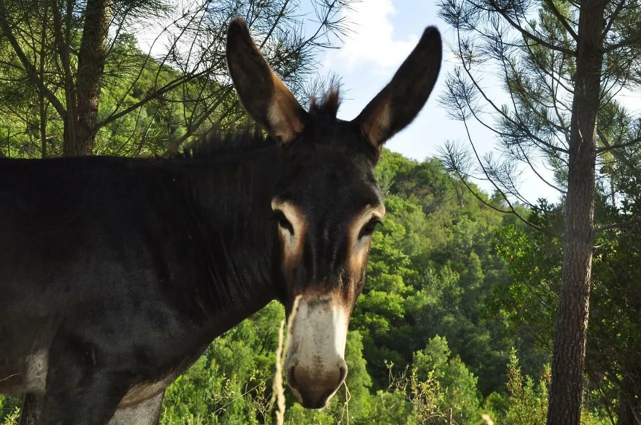 Quinta Alma - Ecological Retreat Farm Hotel Aljezur