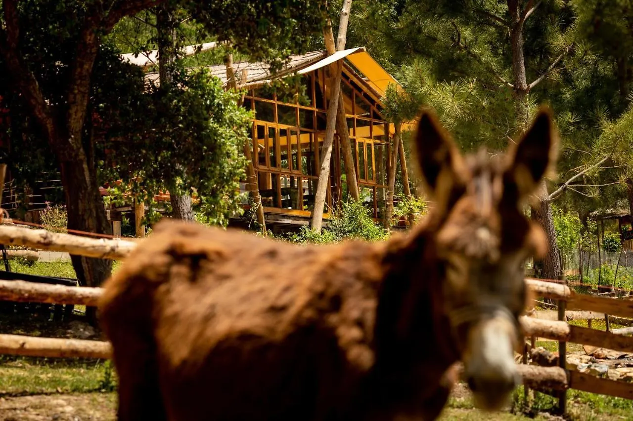 Campismo de Luxo Quinta Alma - Ecological Retreat Farm Hotel Aljezur