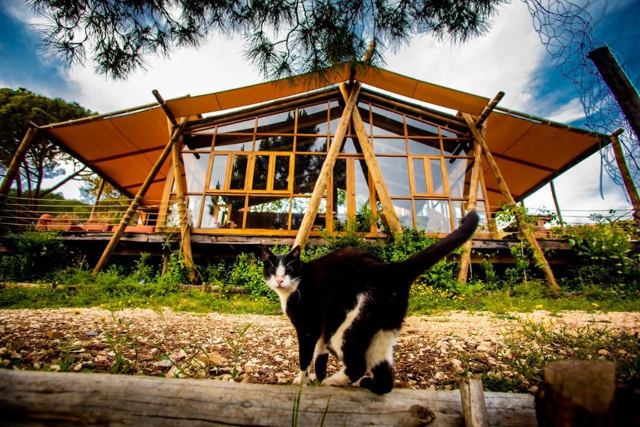 Hotel Quinta Alma - Ecological Retreat Farm Aljezur